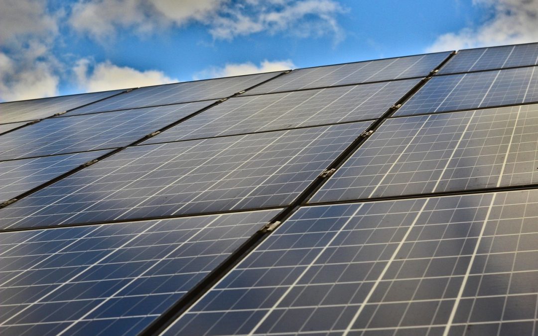 How Do the Next Generation View Sustainability?